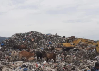 Pemkot Padang Tingkatkan Anggaran Pengelolaan Sampah Hingga Rp91,5 Miliar pada 2025
