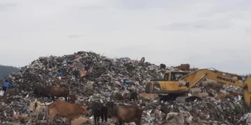 Pemkot Padang Tingkatkan Anggaran Pengelolaan Sampah Hingga Rp91,5 Miliar pada 2025